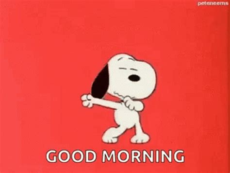 With Tenor, maker of GIF Keyboard, add popular Snoopy In The Rain animated GIFs to your conversations. . Good morning dance gif